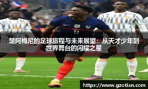 完美体育