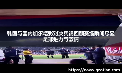 完美体育平台