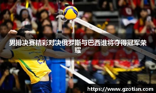 完美体育平台